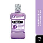 Enjuague-Bucal-Listerine-Cuidado-Suave-250-Cc-1-54036