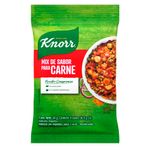 Saborizador-Knorr-Para-Carne-24-G-2-55184