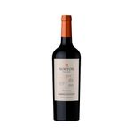Vino-Tinto-Norton-Select-Cabernet-Sauvignon-750-Ml-1-56113