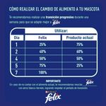 Alimento-Para-Gatos-Felix-Adultos-Megamix-1kg-6-38883