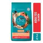 Alimento-Para-Gato-Purina-One-Salmon-2kg-1-34925