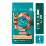 Alimento-Para-Gato-Purina-One-Salmon-Esterilizado-2kg-1-34926