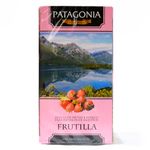 T-Patagonia-De-Frutilla-20u-1-56603