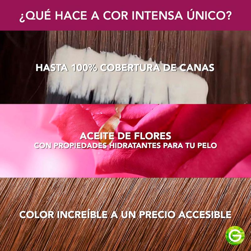 Kit-Tintura-Permanente-Cor-Intensa-Tono-5-0-4-23129