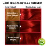 Kit-Tintura-Nutrisse-Colorissimo-Tono-6660-Manzana-4-53884