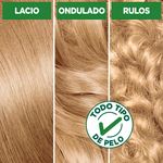 Kit-Tintura-Nutrisse-Clasico-Tono-81-Avena-3-53898