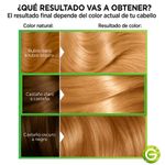 Kit-Tintura-Nutrisse-Clasico-Tono-83-Miel-De-Nectar-4-53897