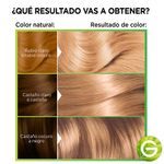 Kit-Tintura-Nutrisse-Clasico-Tono-81-Avena-4-53898