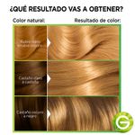 Kit-Tintura-Nutrisse-Clasico-Tono-80-Nectar-4-53899