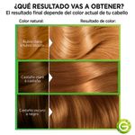 Kit-Tintura-Nutrisse-Clasico-Tono-63-Caramelo-Dorado-4-53904