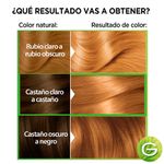 Kit-Tintura-Nutrisse-Clasico-Tono-734-Jalea-Real-4-53900
