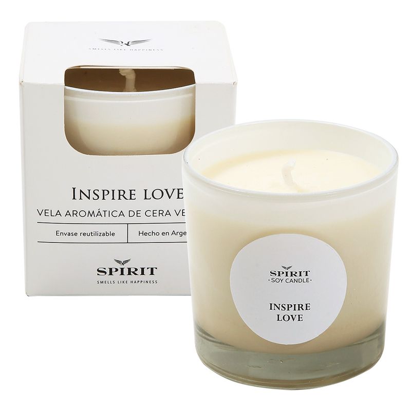 Vela-Vaso-Inspire-X1-1-57200
