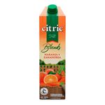 Jugo-Citric-Naranja-Y-Zanahoria-1-L-1-57337