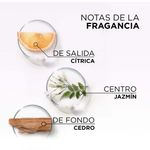 Mascarilla-Elvive-Glycolic-Gloss-300gr-7-57824