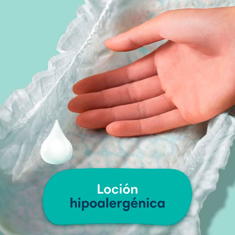 Pampers-Baby-Dry-Pa-ales-Xg-36u-4-42271