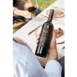 Vino-Tinto-Norton-Lote-Negro-750-Ml-2-21163