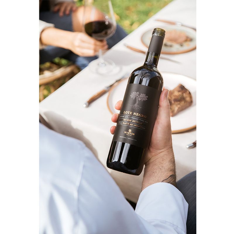 Vino-Tinto-Norton-Lote-Negro-750-Ml-2-21163