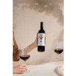 Vino-Tinto-Norton-Talisman-Malbec-750-Ml-3-49682