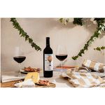 Vino-Tinto-Norton-Talisman-Malbec-750-Ml-4-49682