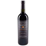 Vino-Tinto-Norton-Altura-Cabernet-Franc-750-Ml-1-58941