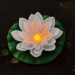 Luz-Solar-Flor-Pileta-2-59236