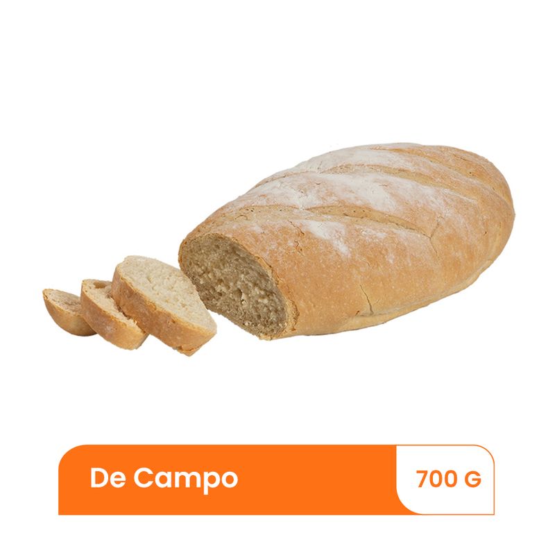 Pan-Tipo-Campo-Grande-700-Gr-1-59437