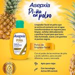 Polvo-Limpieza-Asepxia-Pi-a-42-G-2-59116