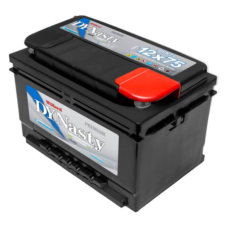 Bateria-Dinasty12x75-1-59484