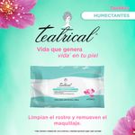 Teatrical-Toallitas-Humectantes-40-Piezas-3-16388