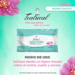 Teatrical-Toallitas-Humectantes-40-Piezas-4-16388