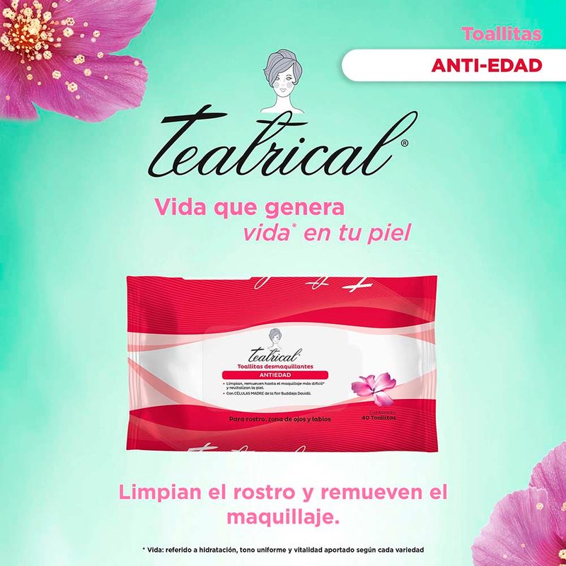 Teatrical-Toallitas-Antiedad-40-Piezas-3-13294