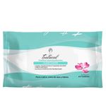 Teatrical-Toallitas-Humectantes-40-Piezas-1-16388