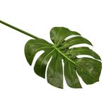 Rama-Monstera-H-G-High-2-69130