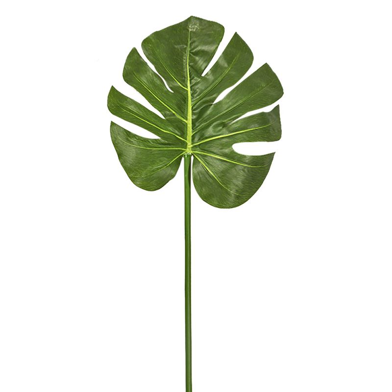 Rama-Monstera-H-G-High-1-69130