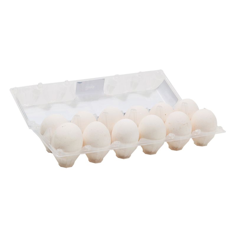 Huevos-Blancos-Check-12-U-4-74351