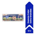 Huevos-De-Color-Check-12-U-1-74350