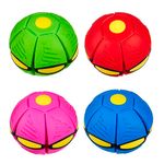 Frisbee-Ball-Bal-n-Plano-2-113323