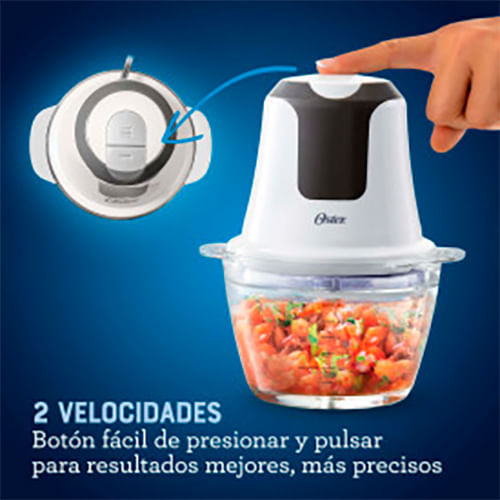 Mini-Picadora-Oster-250w-0005389116996-6
