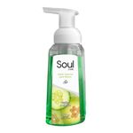 Jabon-Espuma-Soul-Care-Pepino-Y-Limon-25oml-0779912000300-2