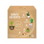 Caf-En-C-psulas-Nescaf-Dolce-Gusto-Vainilla-16u-176-G-0789100065078-3
