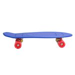 Mini-Longboard-Surtido-0697408566401-5