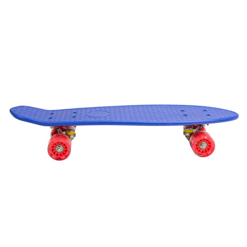 Mini-Longboard-Surtido-0697408566401-5