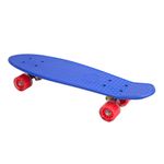 Mini-Longboard-Surtido-0697408566401-6