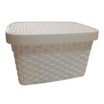 Multi-Envase-Caja-Rattan-15-L-0779810466753-1