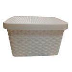 Multi-Envase-Caja-Rattan-9-L-0779810466752-1