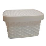 Multi-Envase-Caja-Rattan-6-L-0779810466751-1