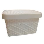 Multi-Envase-Caja-Rattan-20-L-0779810466754-1