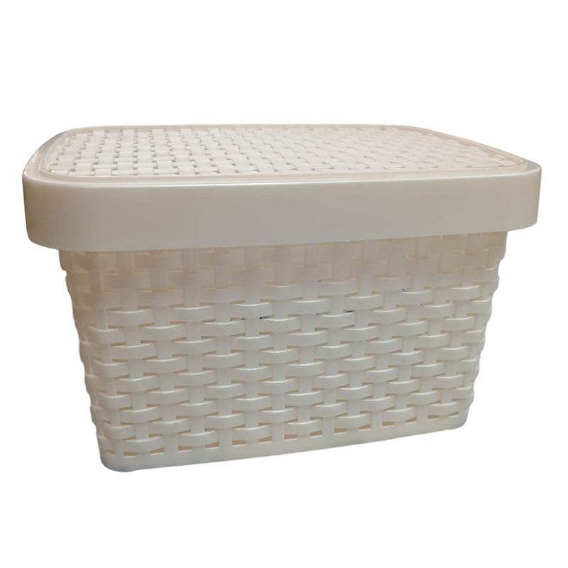 Multi-Envase-Caja-Rattan-20-L-0779810466754-1