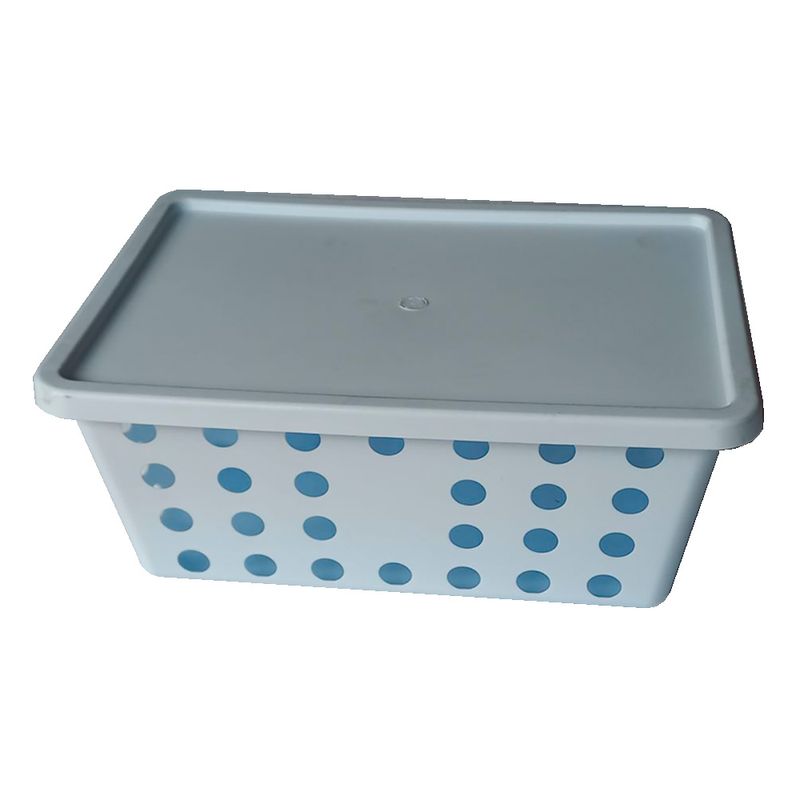 Canasto-Con-Tapa-0779831062172-1