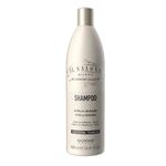 Shampoo-Il-Salone-Brillo-Y-Vitalidad-500ml-0789988420392-1
